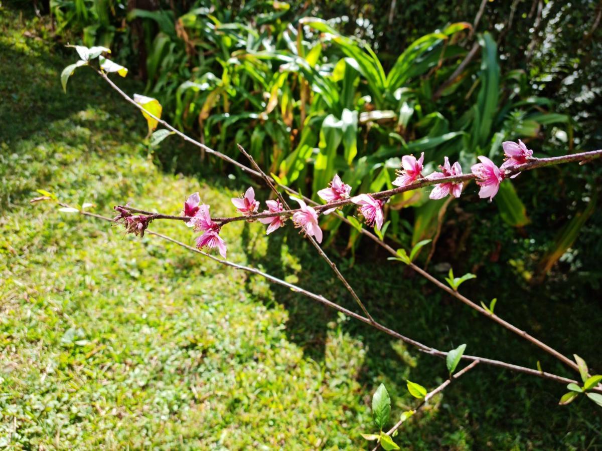 Marcita Chale Villa Monte Verde  Exterior photo